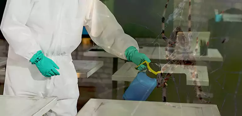 Why Buyers Still Want Homes With Pest Infestations in Irving, TX?