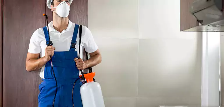 Why Irving Homeowners Choose Us When Pests Make Selling Difficult